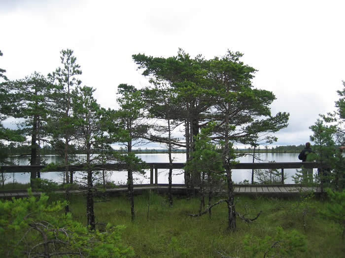 Smaland (Schweden): Nationalparkt Store Mosse - Urwüchsige natur