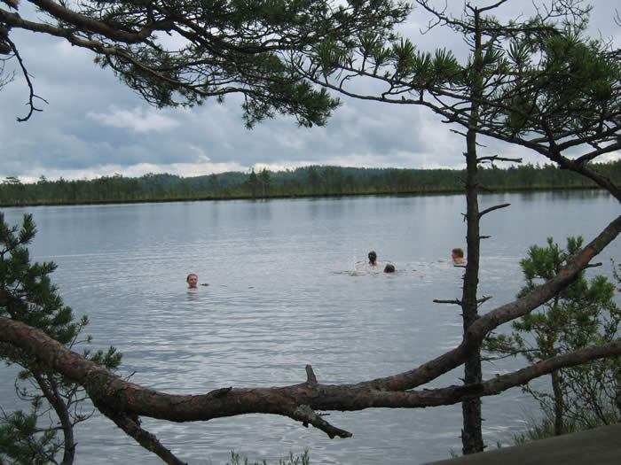 Smaland (Schweden): Nationalparkt Store Mosse - Schwimmen im See