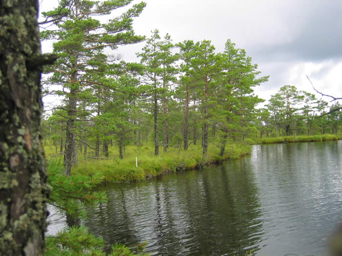 Smaland (Schweden): Nationalparkt Store Mosse - Romantioscher See