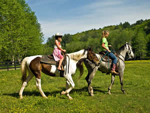 Outdoor aktiv: Pferde und reiten in Schweden - Smaland